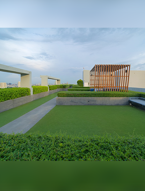Rooftop Garden
